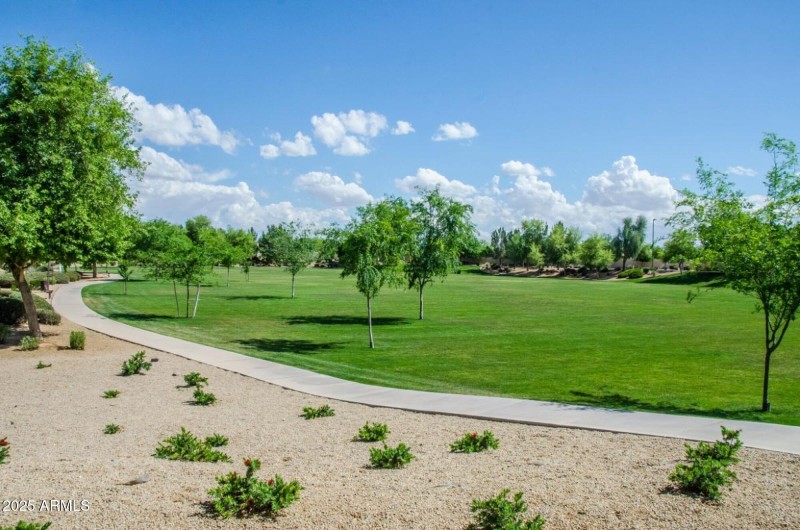 Neely_7.jpg.2000x2000_q95_upscale