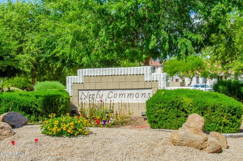 Neely_3.jpg.2000x2000_q95_upscale