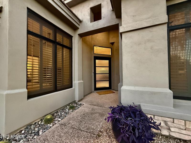 Custom Iron & Glass Pivot Door