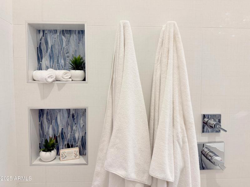 Gorgeous Dual Head Shower