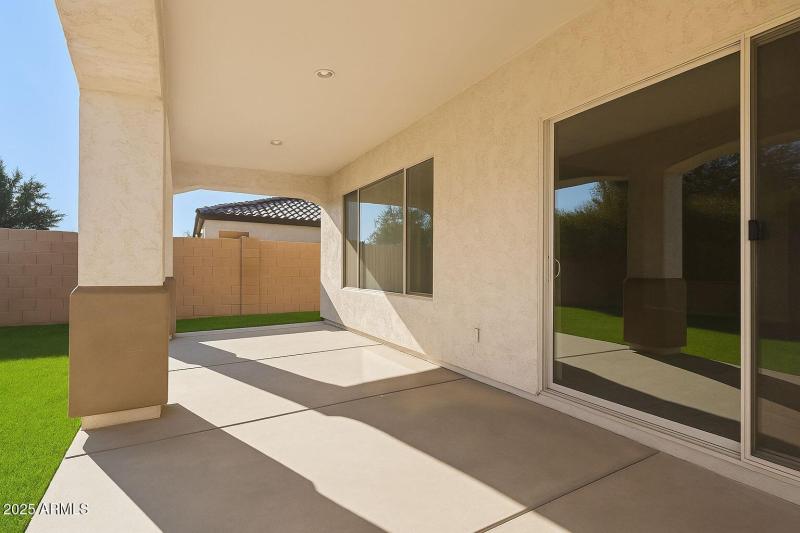 VIRTUAL BACKYARD WITH GRASS