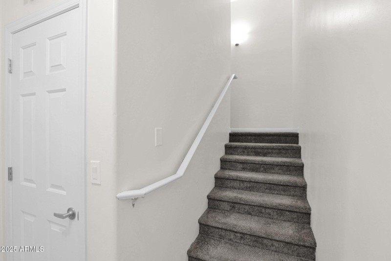 26-web-or-mls-P1046653