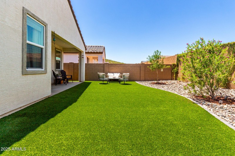 New Turf, Rock, Plants