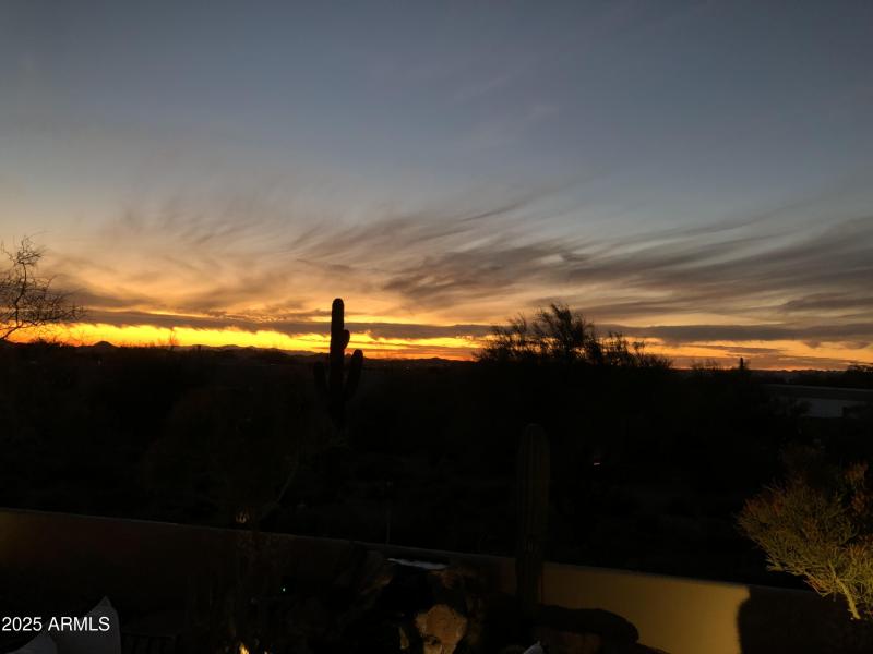 Backyard View Every Evening