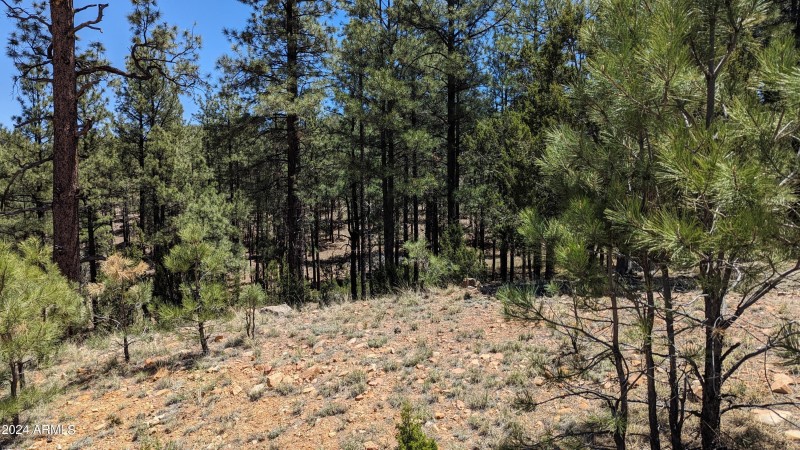 PXL_20240528_183055317