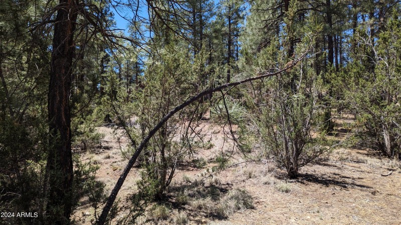 PXL_20240528_181540774