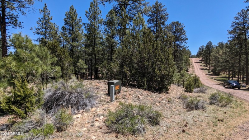 PXL_20240528_183016213