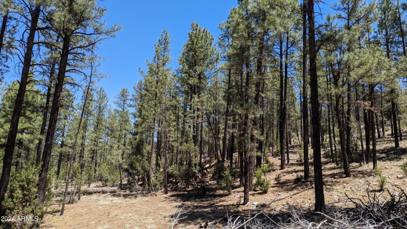 PXL_20240528_181421844