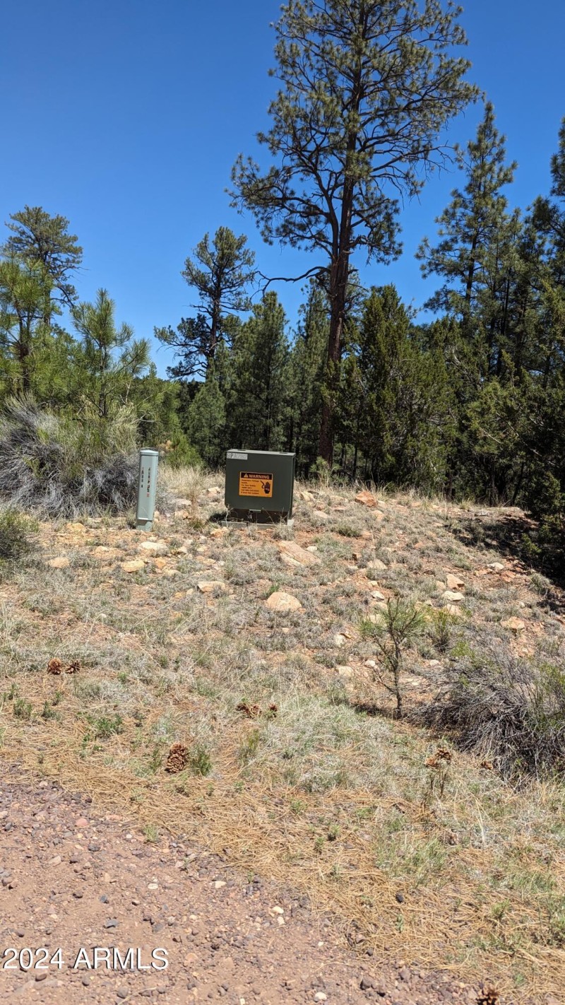 PXL_20240528_181745007