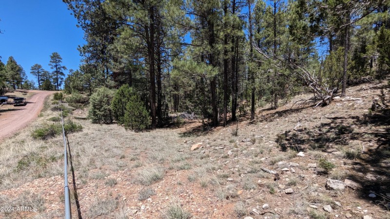 PXL_20240528_182914383