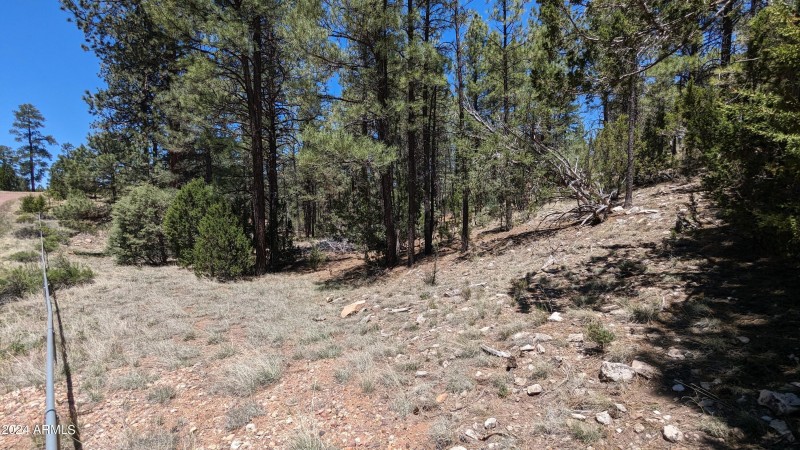 PXL_20240528_182916700