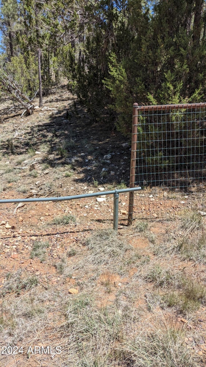 PXL_20240528_180607874.MP