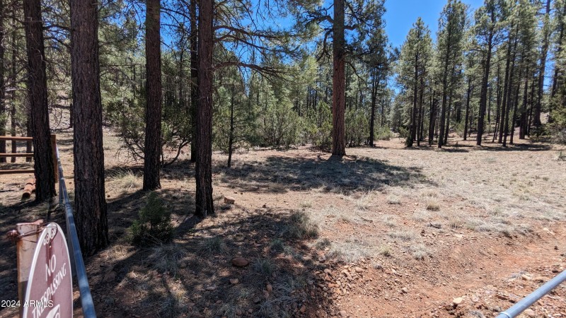 PXL_20240528_183151430