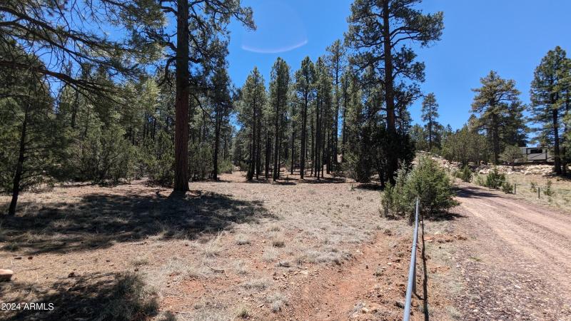 PXL_20240528_183155929