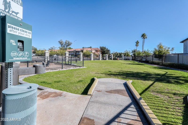 Dobson Ranch Community Photo