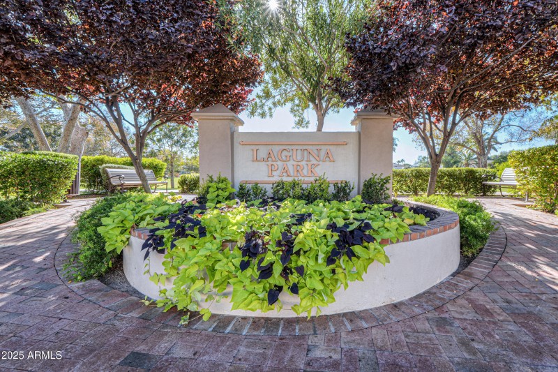 Dobson Ranch Community Photo