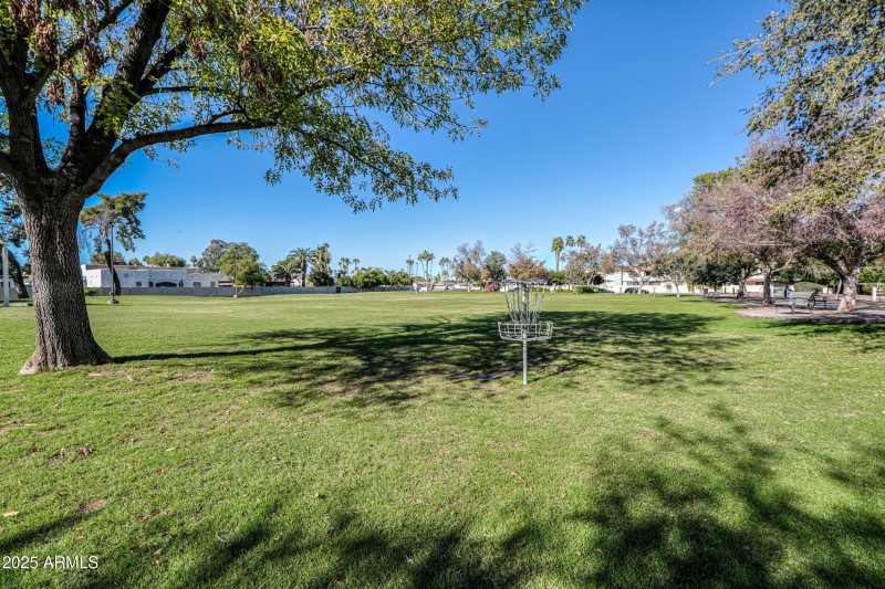 Dobson Ranch Community Photo