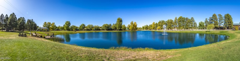 2353 Quarter Horse Trail #238__120