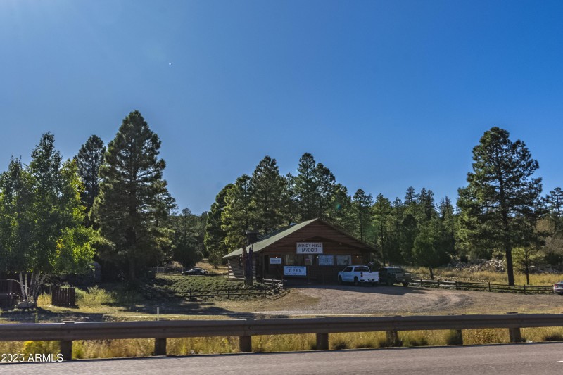 2353 Quarter Horse Trail #238__153