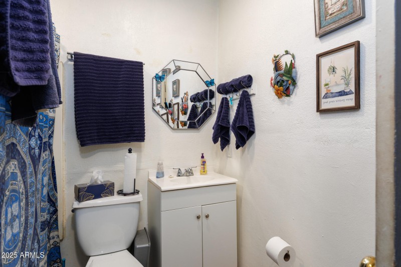 Suite C Bathroom View