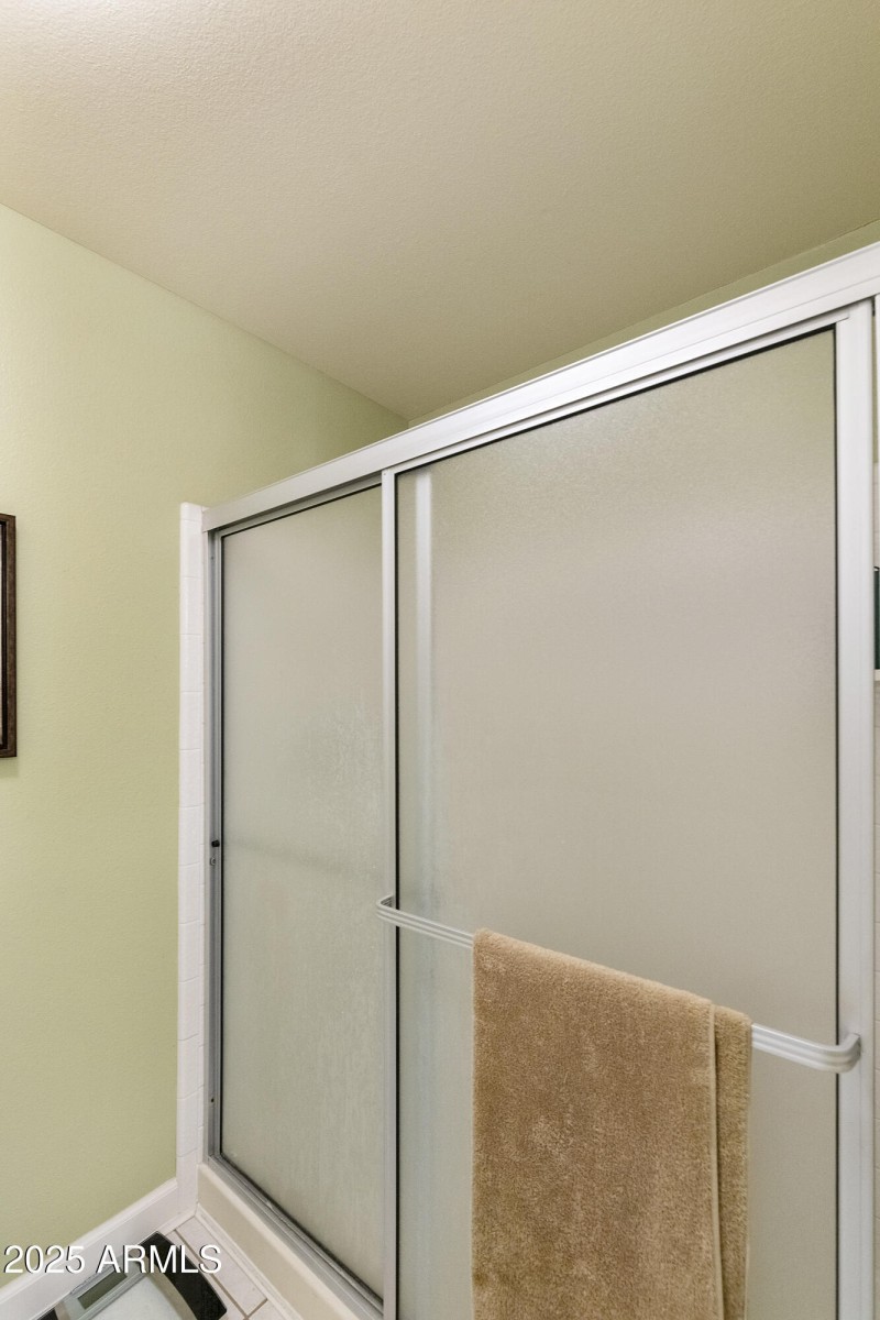 Primary Bath walk-in shower