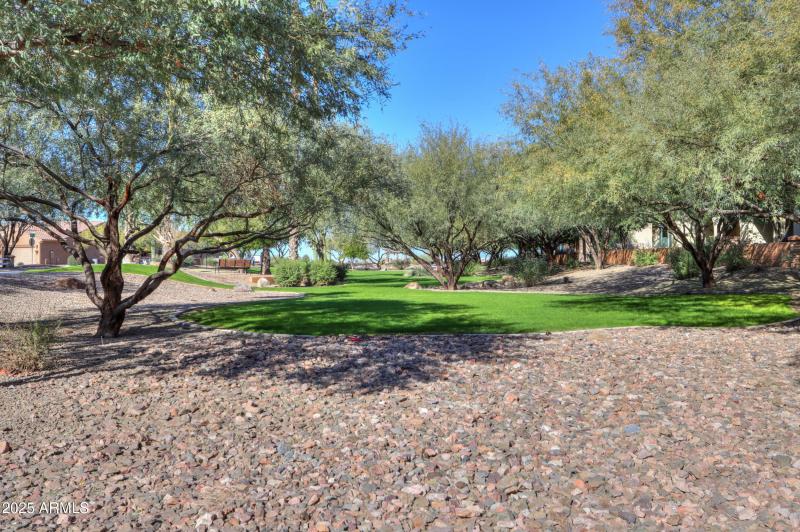 Park across the street