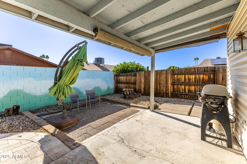 Backyard