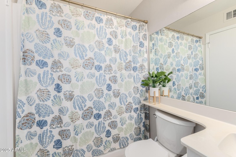 Hall Bathroom