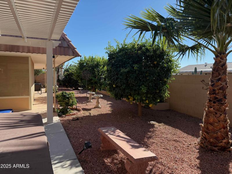 Lemon, Grapefruit & Tangelo