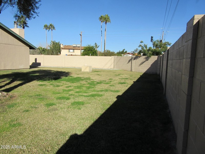 Back lawn area