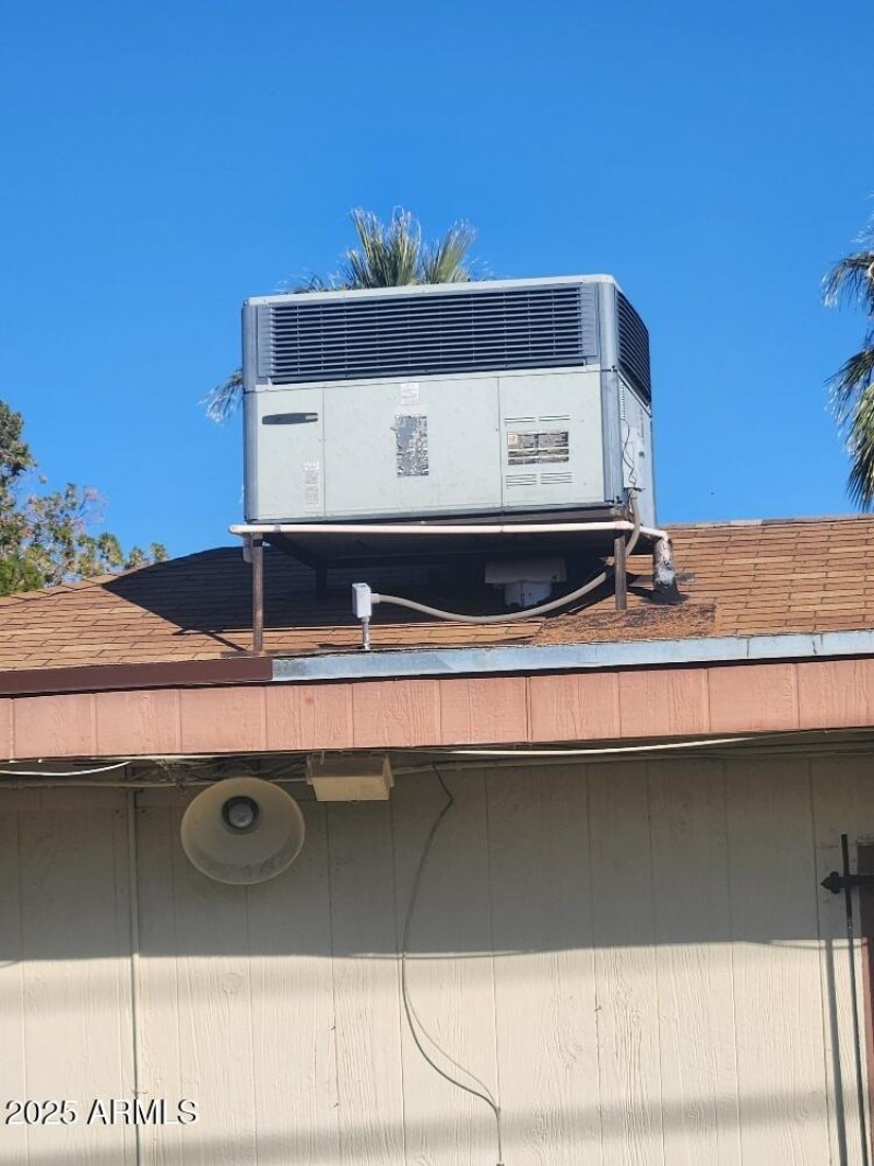 20251215_101210_resized