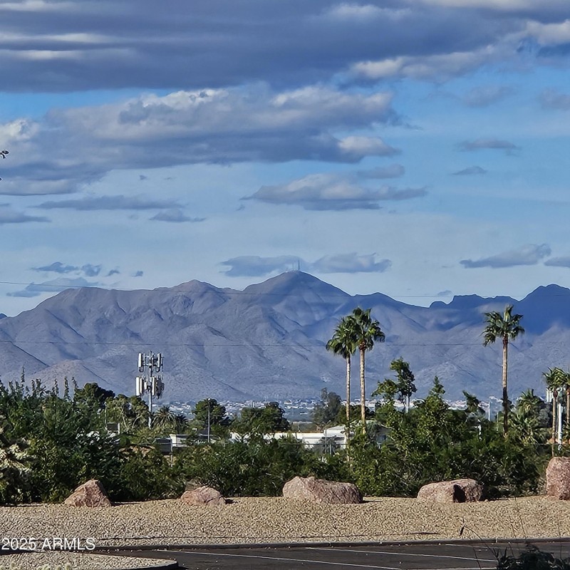 View from Nearby Park