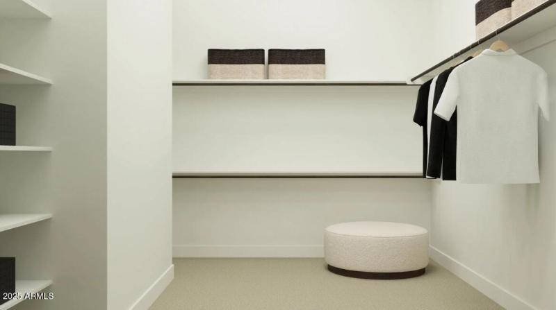 Owners Walk in Closet