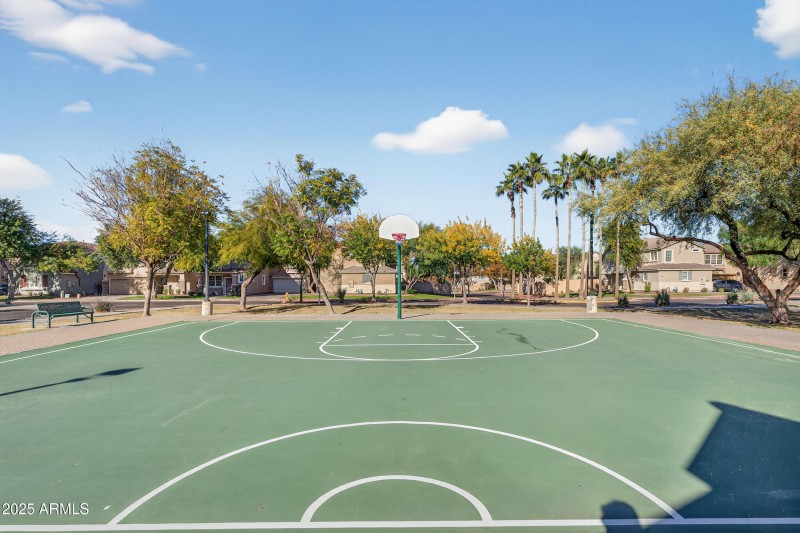 Basket Ball Court