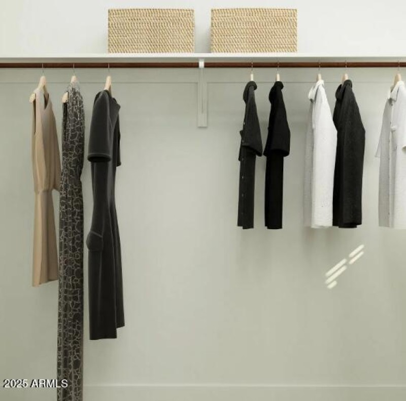 Owners Walk in Closet