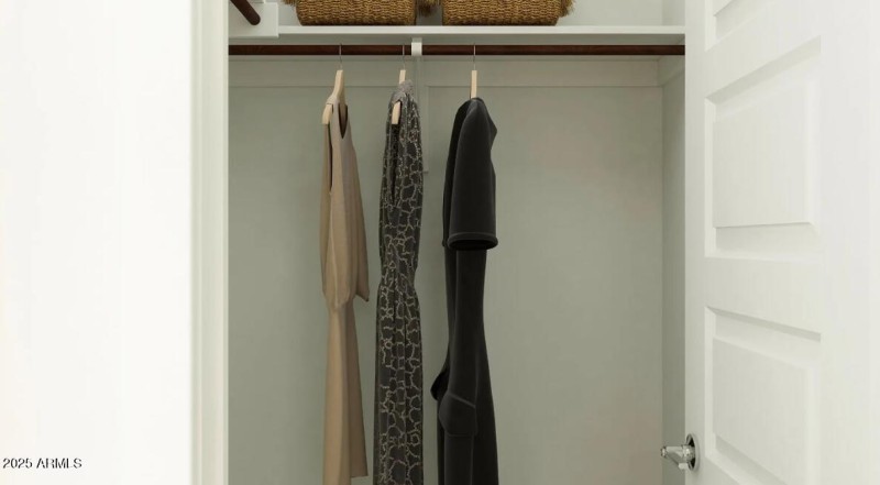 Owners Walk in Closet