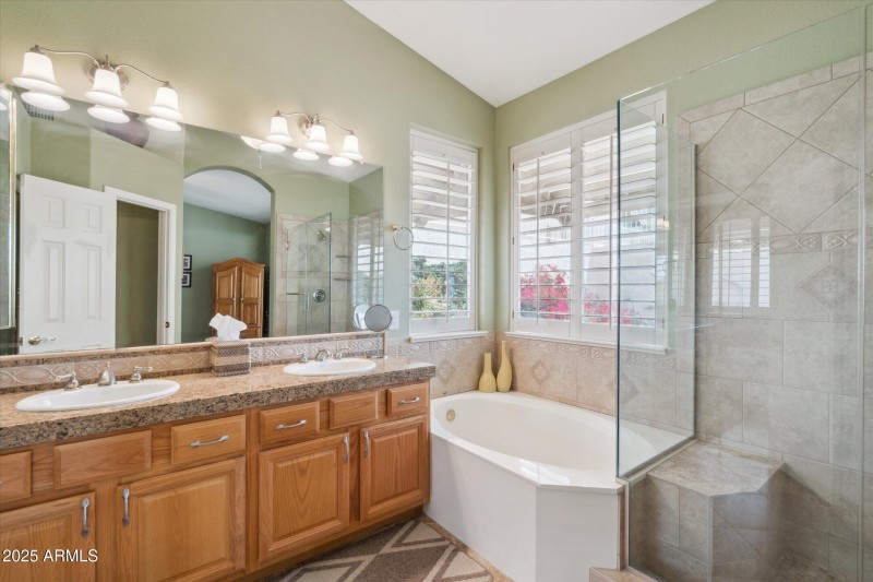 Primary Bath bathing areas