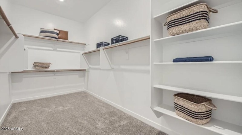 Owners Walk in Closet