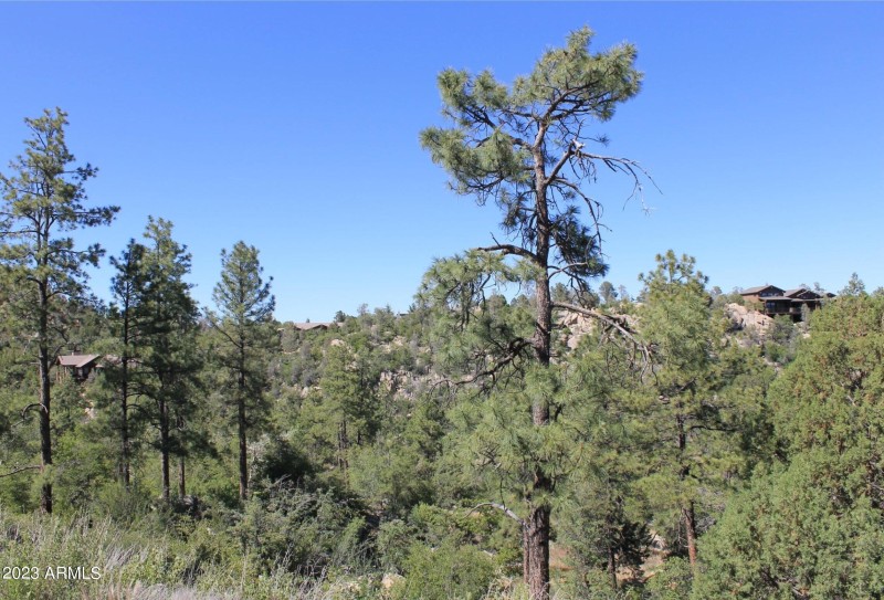 Street View Looking North