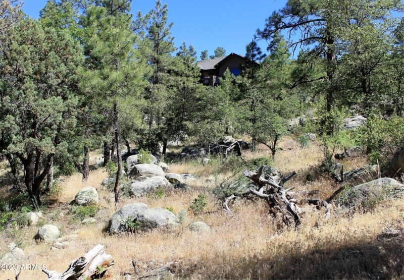 Lower End of Property