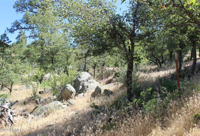 Upper End of Property