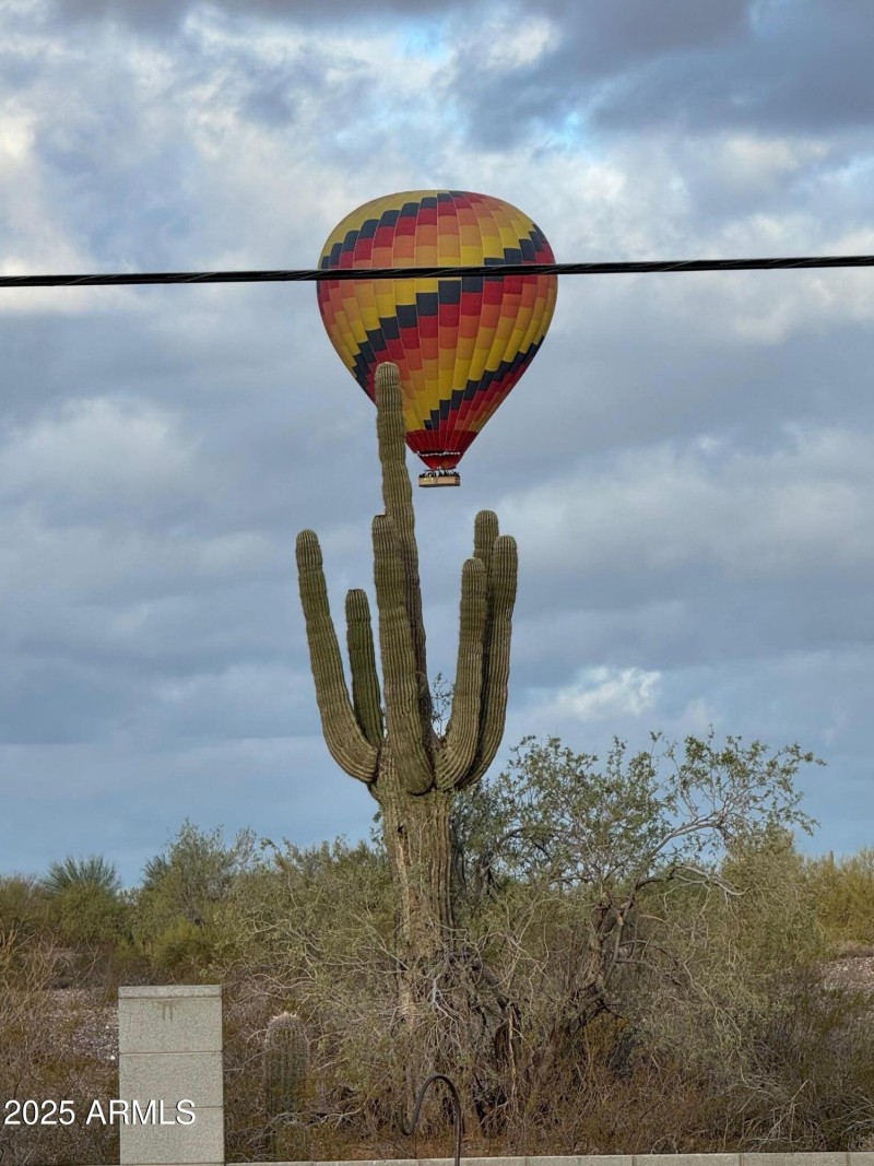 Hot air balloons in desert