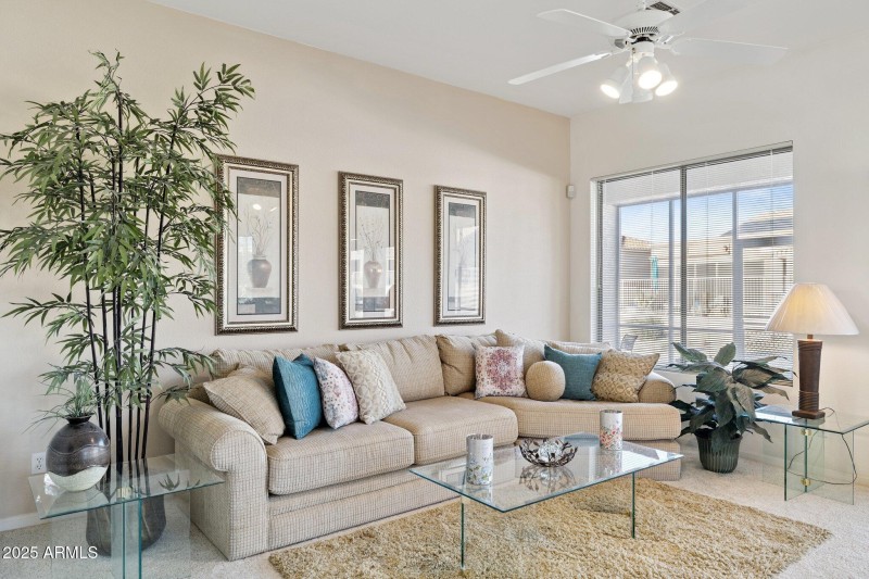 6-web-or-mls-7152-e-texas-ebony-dr