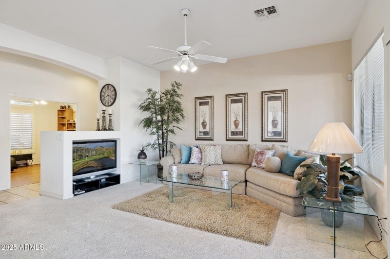 7-web-or-mls-7152-e-texas-ebony-dr