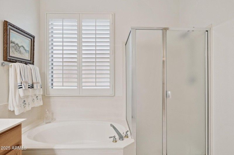 20-web-or-mls-7152-e-texas-ebony-dr