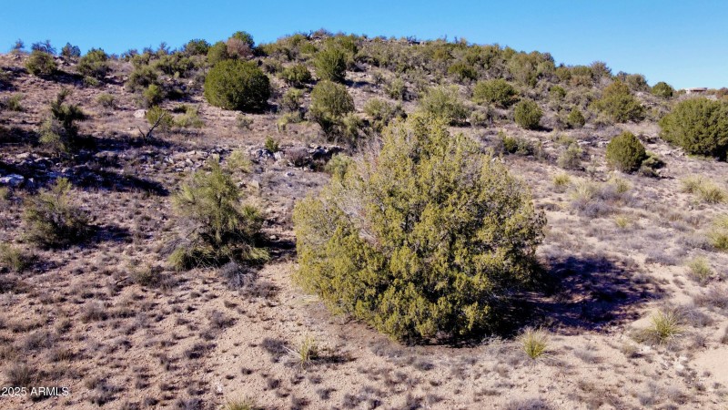 dji_fly_20251216_125624_407_176591508680