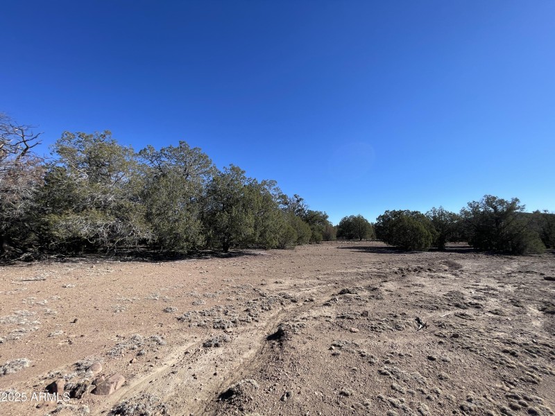 Natural Division | Two 20-Acre Sections