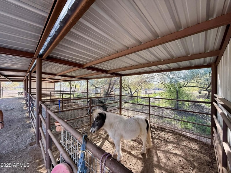 8f1dea59-d8ab-47a4-afdf-59d518ad6ad5