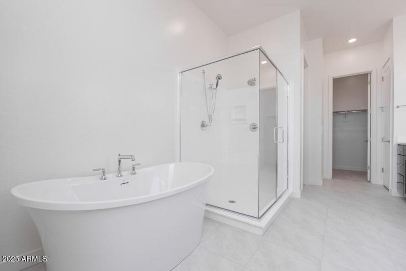 Tri Pointe Soleo 400 - Primary Bathroom-