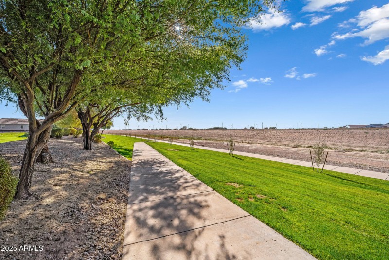 Walking Path Next to House (1)